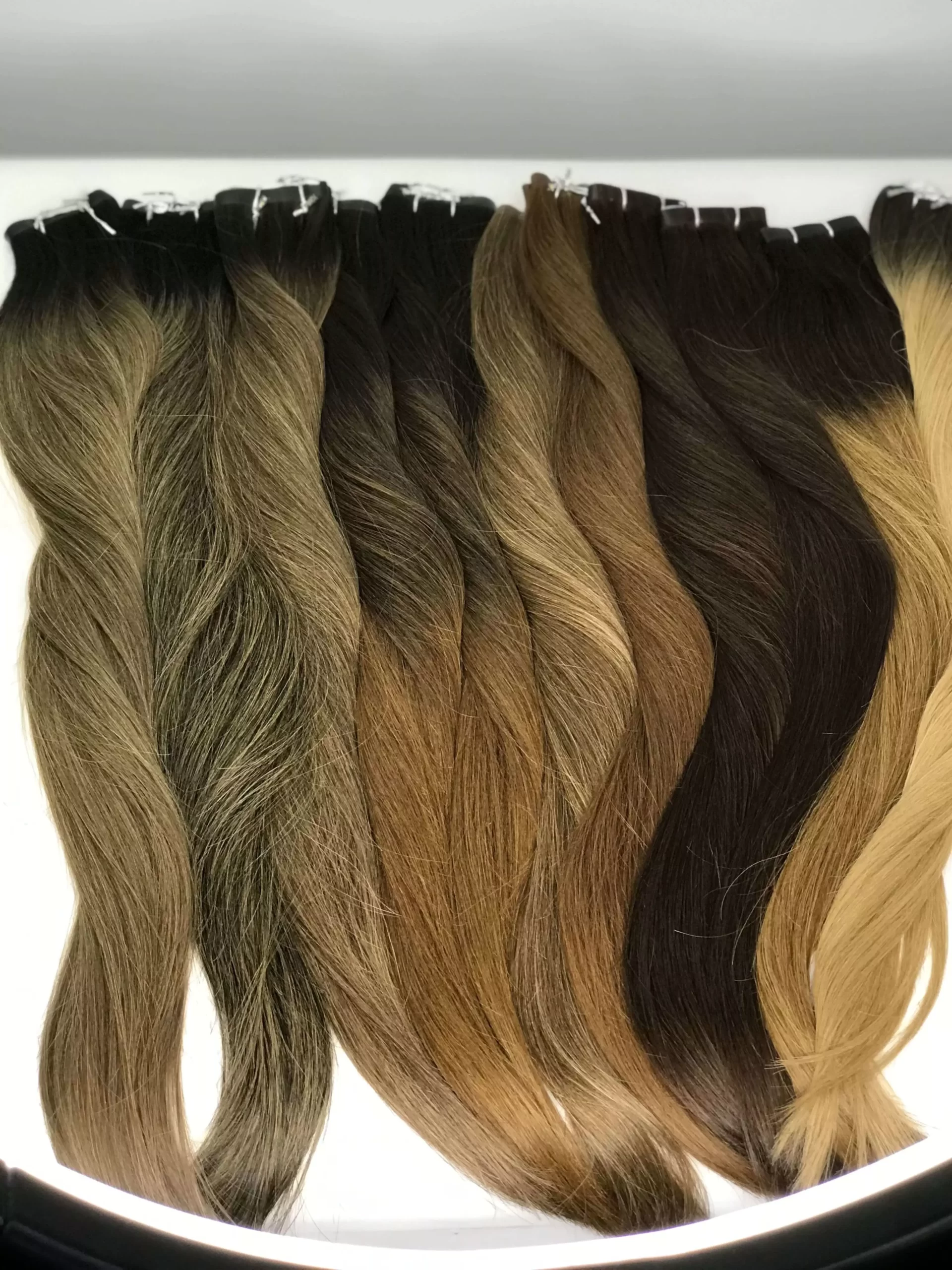 AnyConv.com__moreno iluminado8